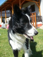 /album/alea/p1130304-jpg/