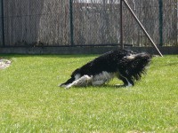 /album/alea/p1130350-jpg/