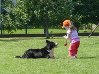 /album/alea/p1140451-jpg/