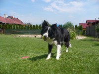 /album/alea/p1140463-jpg/